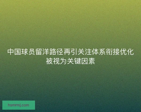 中国球员留洋路径再引关注体系衔接优化被视为关键因素